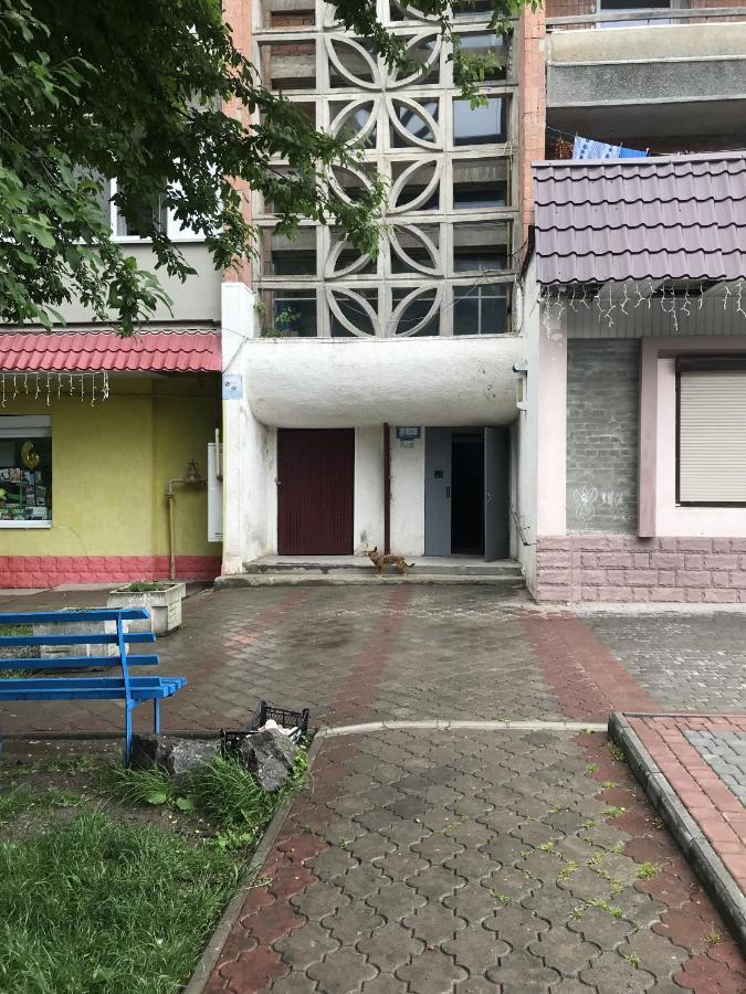 Чудова Квартирка В Кам'Янці -Подільському Kamyanets-Podilski Dış mekan fotoğraf